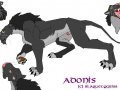 Adonnis Model.jpg